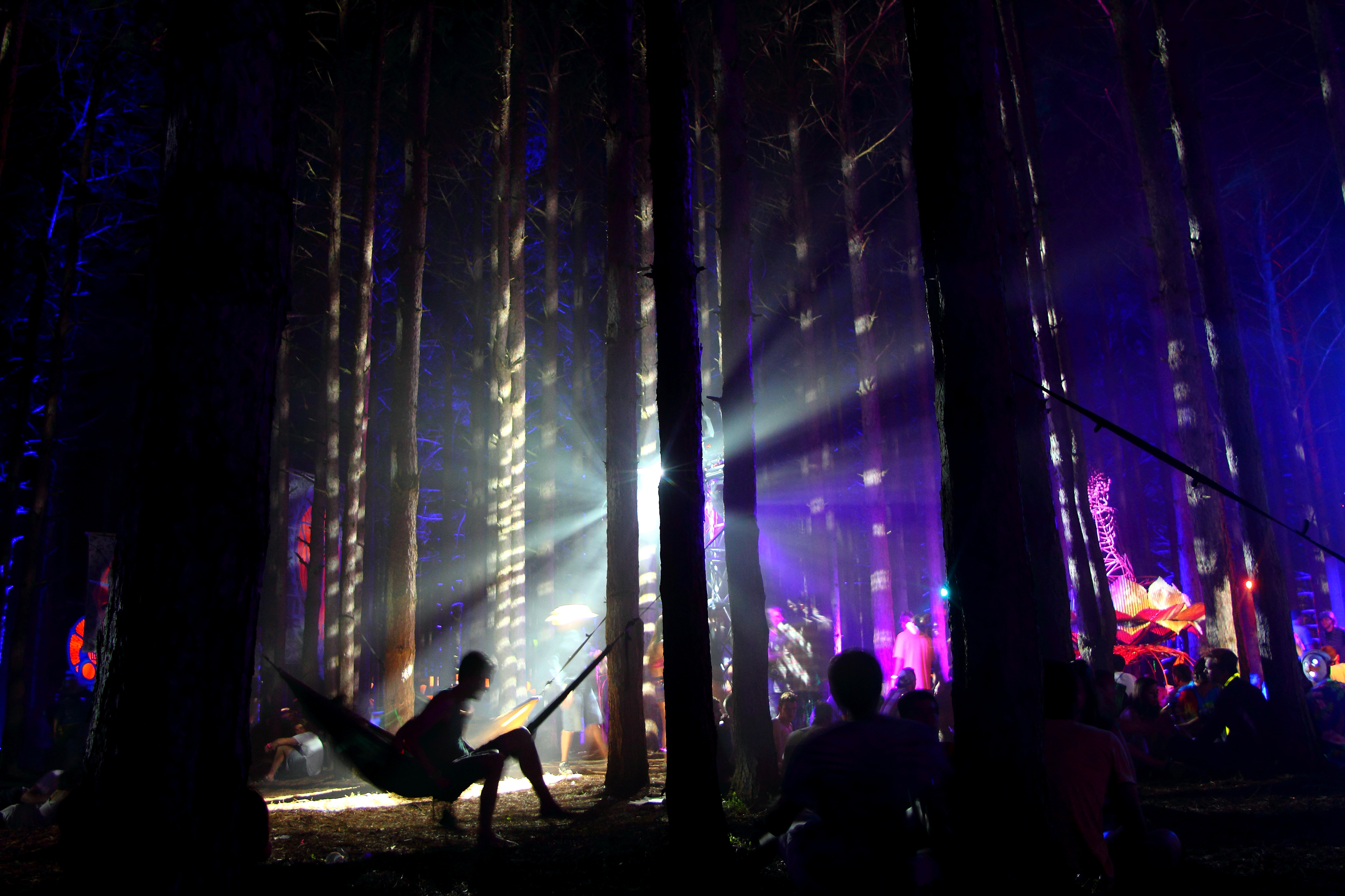Electric Forest Festival Announces 2012 Dates